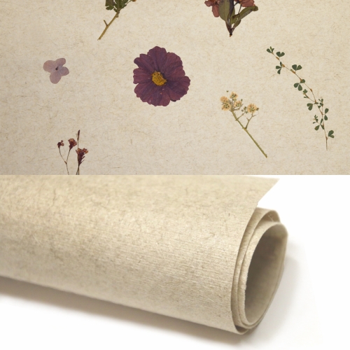 Oberfläche Violette